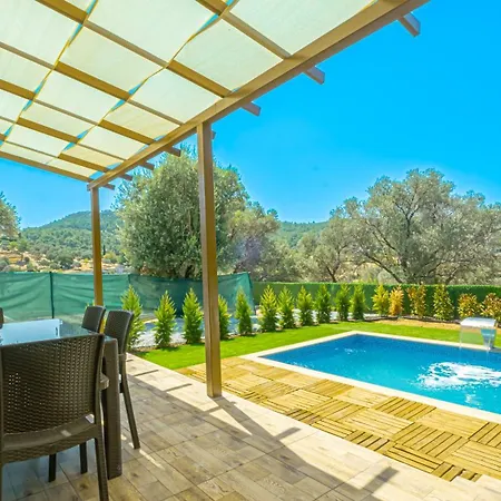 Lena Private Pool Willa Bodrum