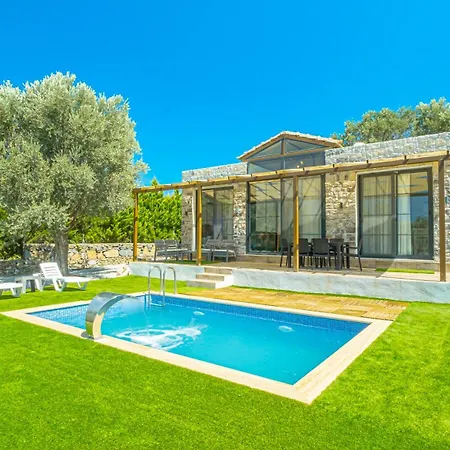 Lena Private Pool Willa Bodrum